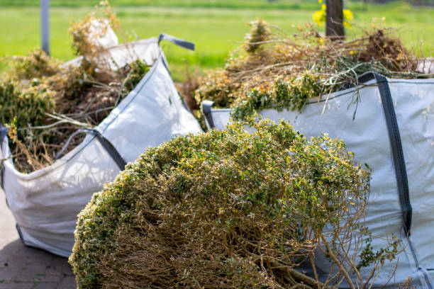 Best Office Junk Removal  in Jackson, AL