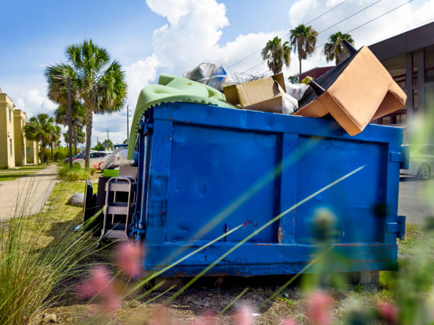 Yard Cleanup Services in Jackson, AL